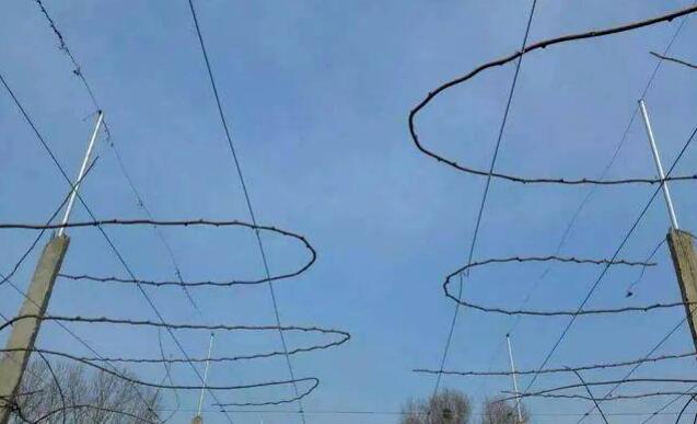 1720081526597461.jpg QQ截圖20240704160427.jpg